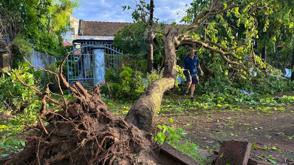 Severe typhoon hits Vietnam - chaos in the Philippines - Gallery. In Vietnam, trees were uprooted and thousands of houses damaged.