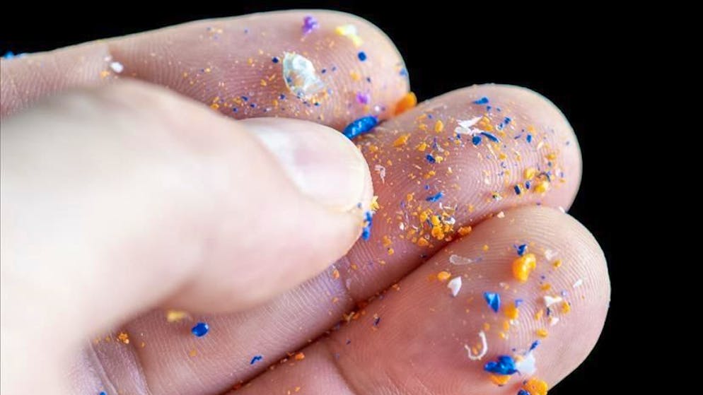 Salute. Trovate microplastiche nei prodotti locali ticinesi