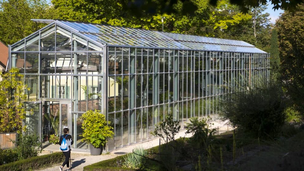 L'exposition "Natura picta" est à voir jusqu'au 19 avril au Jardin botanique cantonal de Lausanne (archives).