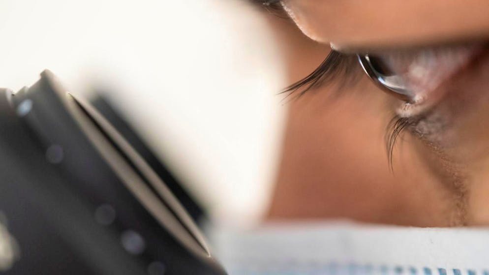 L'Université de Genève ouvre ses portes lors de la Journée du diabète jeudi, pour mieux comprendre cette maladie métabolique. Il sera possible d'observer des cellules à insuline au microscope (image d'illustration).