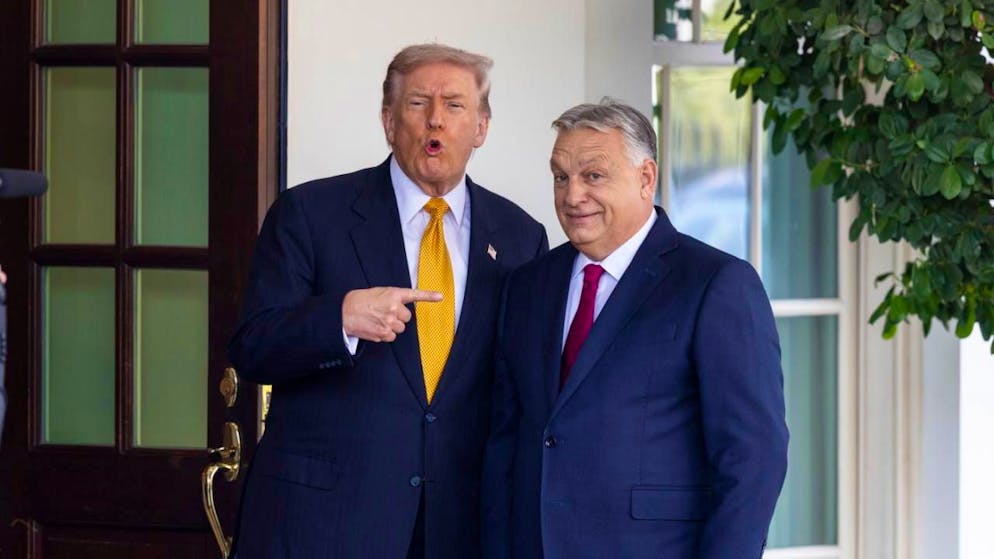 Donald Trump e Viktor Orban hanno raggiunto diversi accodi.