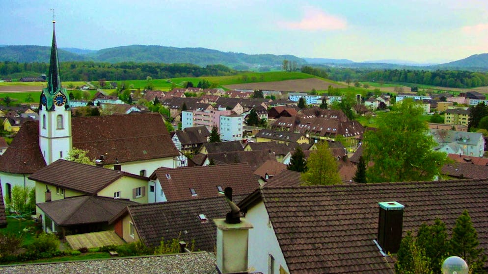 In Fislisbach AG, a mother and her child had a stroke of luck.