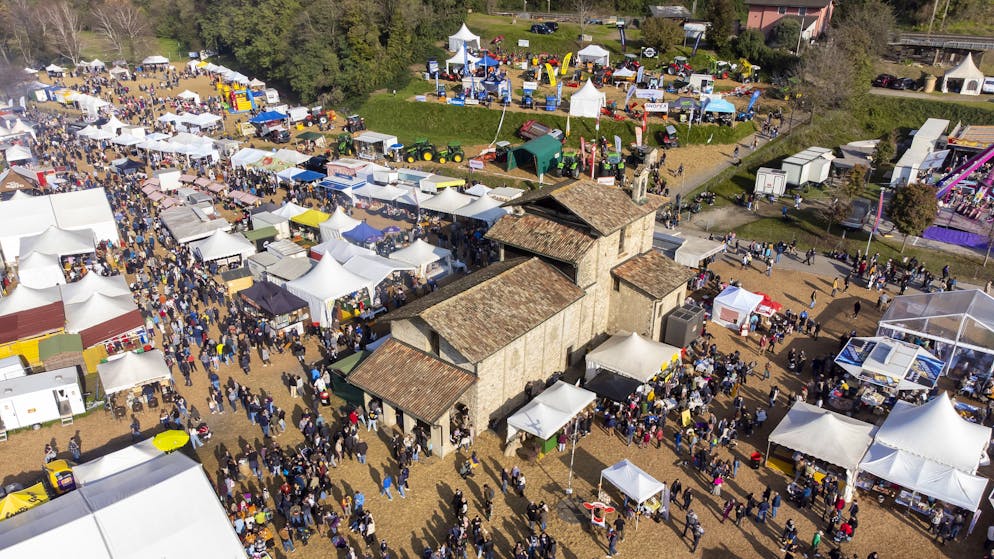 Eventi. Ottima affluenza alla fiera di San Martino di Mendrisio