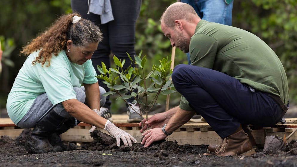 Cop30. Il principe William diventerà cittadino onorario di Rio de Janeiro