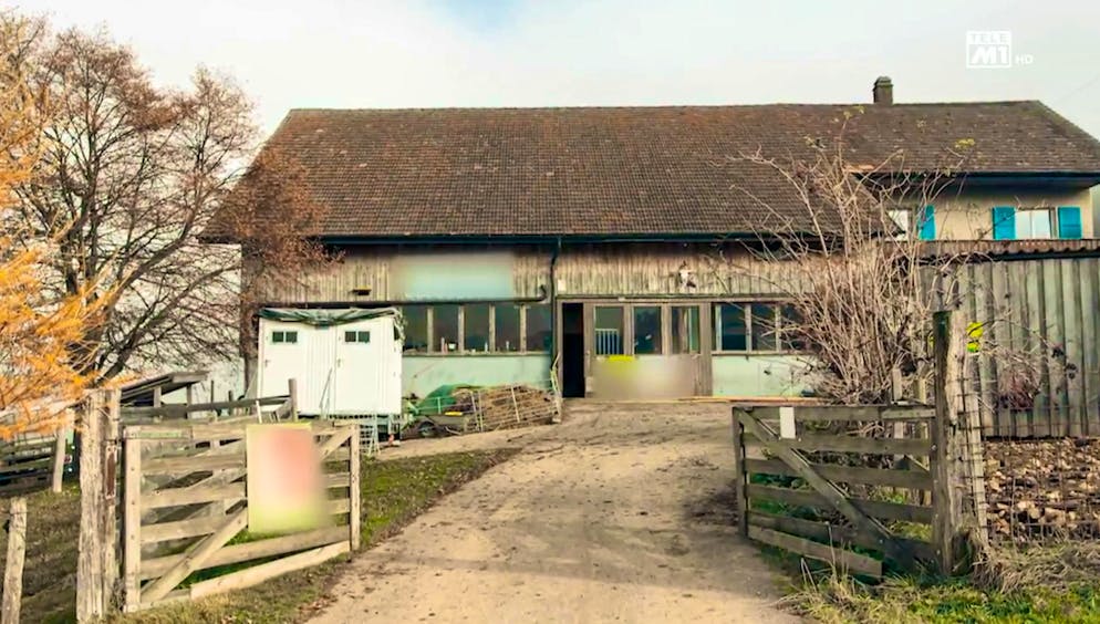 The authorities had to intervene to protect animals on this farm in Ramiswil SO.