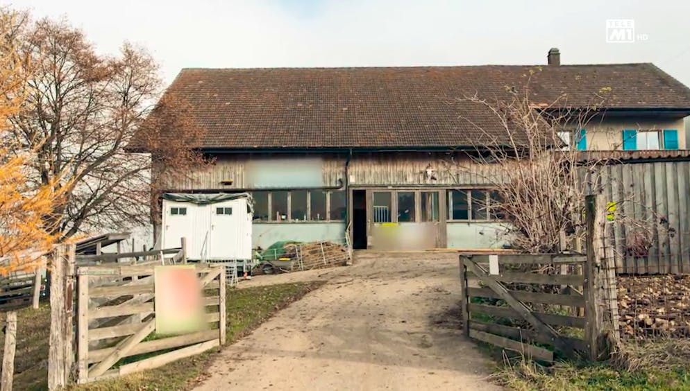 Auf diesem Hof in Ramiswil SO mussten die Bheörden für den Tierschutz eingreifen.