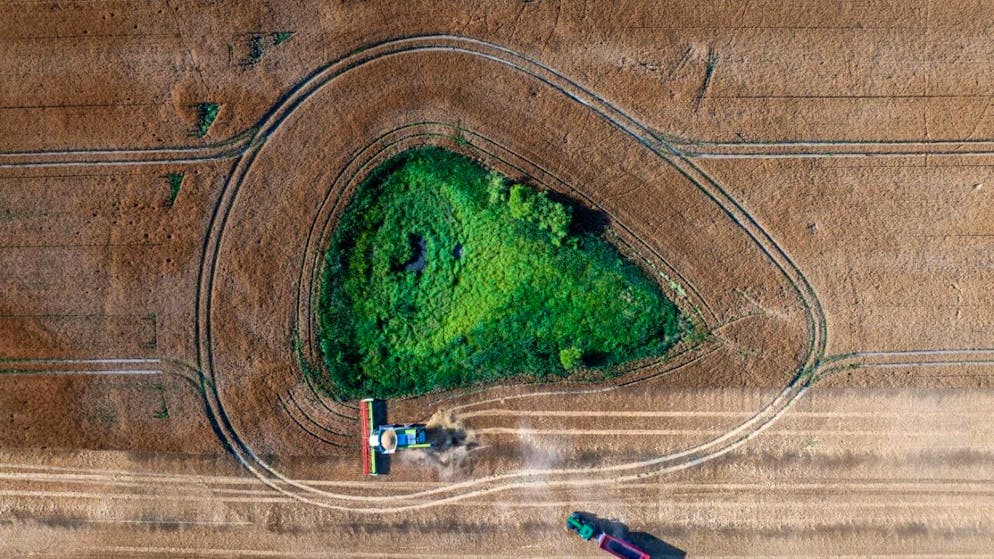ARCHIV - Ein Mähdrescher fährt am Abend über ein Gerstenfeld und wird von einem Traktor mit einen Erntewagen begleitet (Luftaufnahme mit einer Drohne). Foto: Jens Büttner/dpa