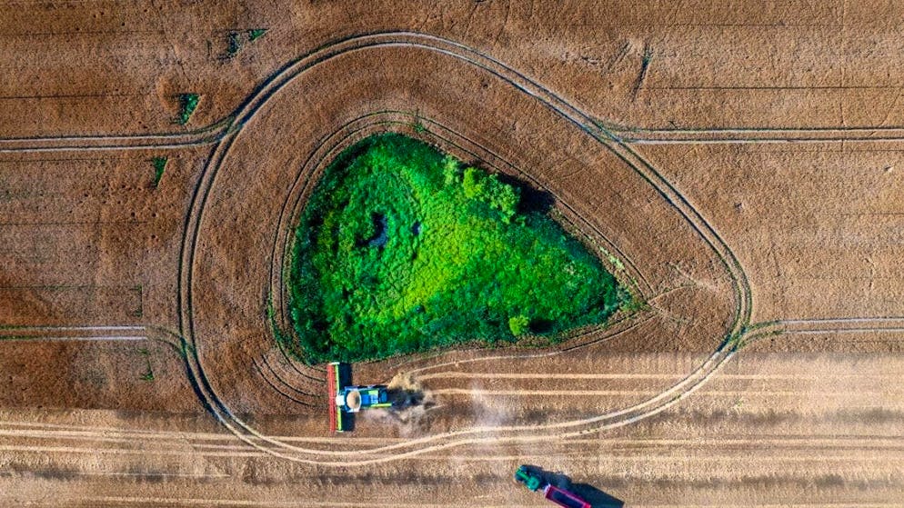 ARCHIVE - A combine harvester drives over a barley field in the evening and is accompanied by a tractor with a harvest wagon (aerial view with a drone). Photo: Jens Büttner/dpa