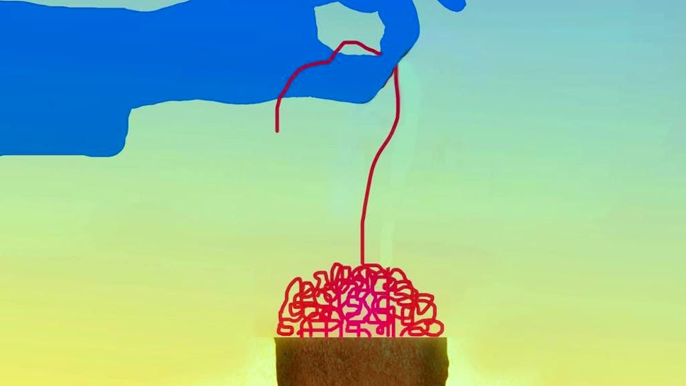 Nuovo studio. Scoperto l'interruttore del cervello che decide se impariamo o andiamo in automatico