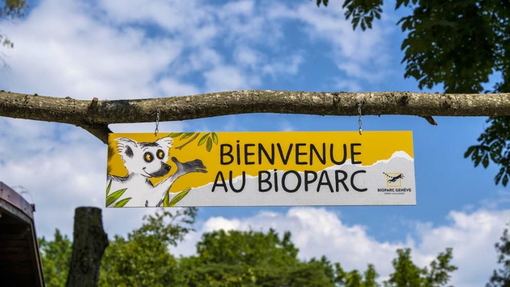 Genève. Remise d'une pétition pour «sauver» le Bioparc