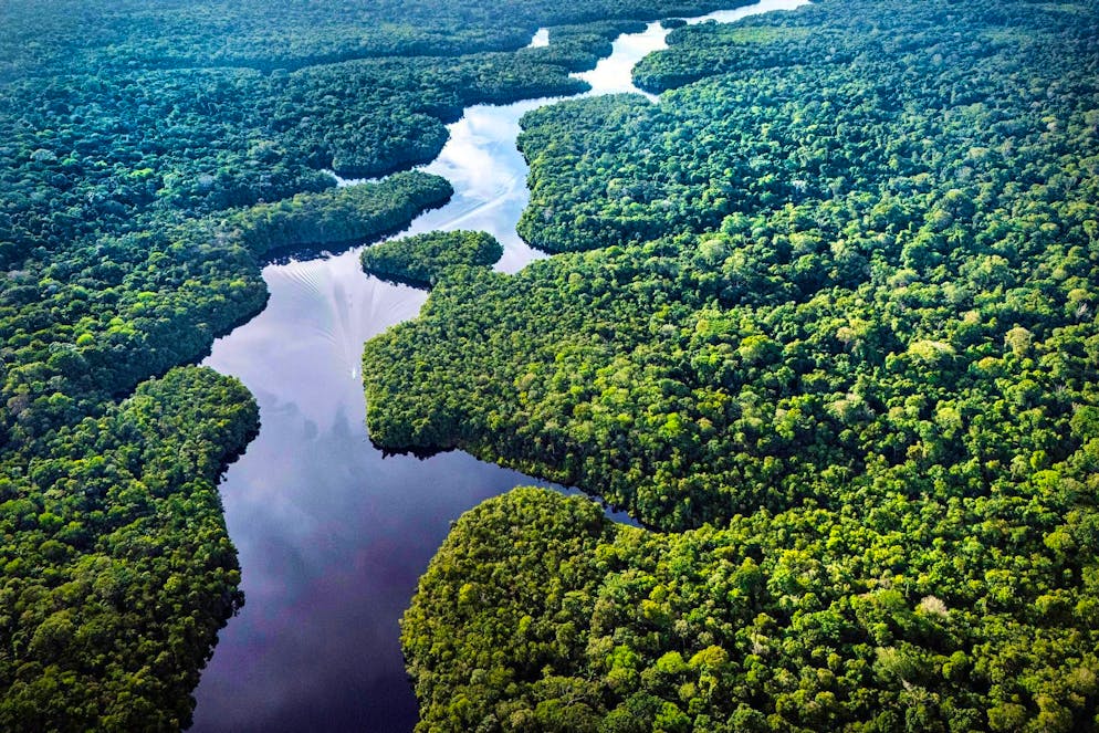 Crisis meeting on the Amazon - What will the climate conference achieve? - Gallery. The Amazon: extremely important for the climate, but under enormous stress.