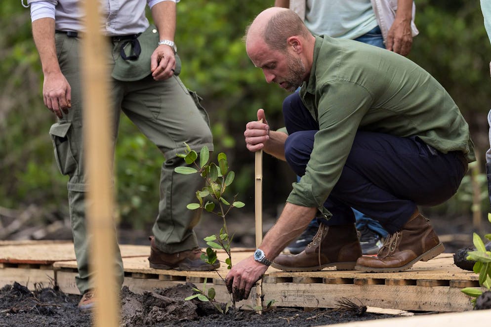Durante la sua visita in Brasile, il principe William ha simbolicamente partecipato a un progetto di conservazione, piantando alberelli in una baia per garantire la sopravvivenza delle mangrovie.