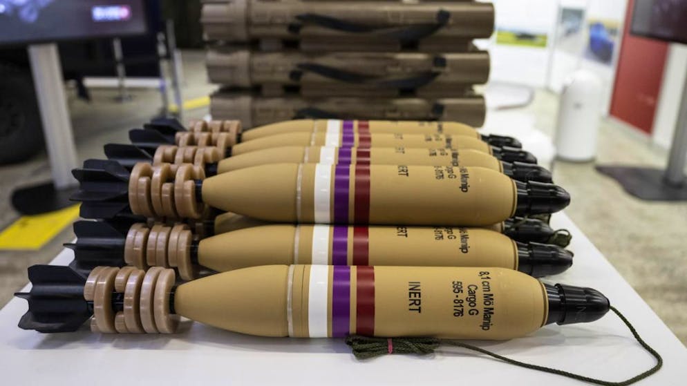 Des assouplissements de la loi sur le matériel de guerre sont en bonne voie au Parlement (image d'illustration).