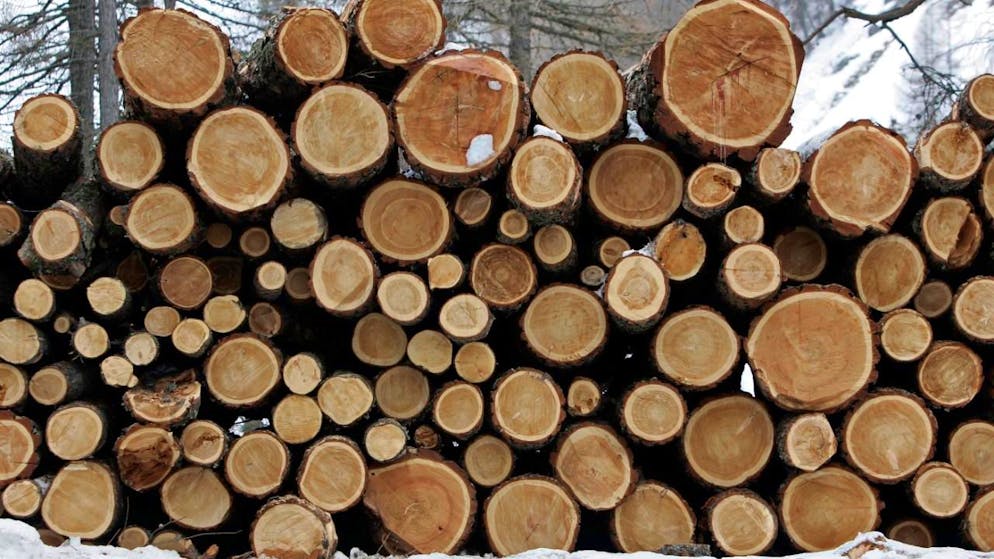 L'ex forestale comunale di S-chanf è accusato di diversi reati, fra cui l'appropriazione indebita di 225 tronchi di larice e pino cembro. Ciò ha causato un danno di quasi 60'000 franchi a un committente. (immagine simbolica)