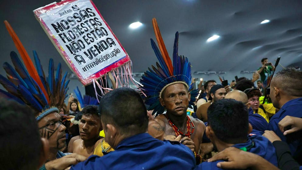 Dozens of indigenous activists stormed the secure tent city of the UN Climate Change Conference in Belém on Tuesday. Thousands of indigenous activists represented at the COP30 are campaigning against the destruction of their ancestral homeland, for example through the deforestation of the rainforest.