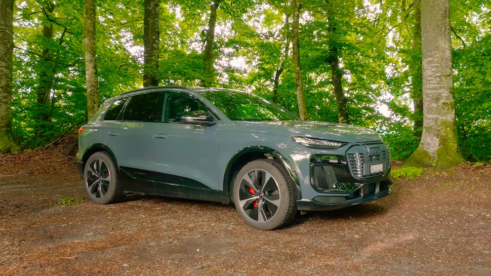 Cyndies Testauto kostet 120 525 Franken.
