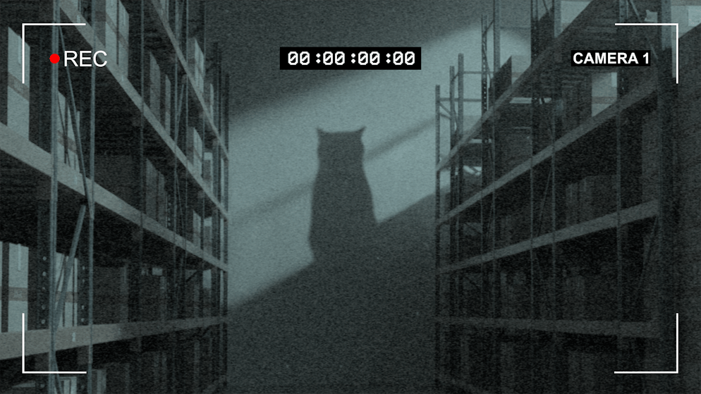 Aufregung beim Online- Händler Brack in Willisau LU. Ominöser Schatten: Auf den Aufnahmen der Überwachungskameras war ein kleines, flinkes Wesen zu sehen.