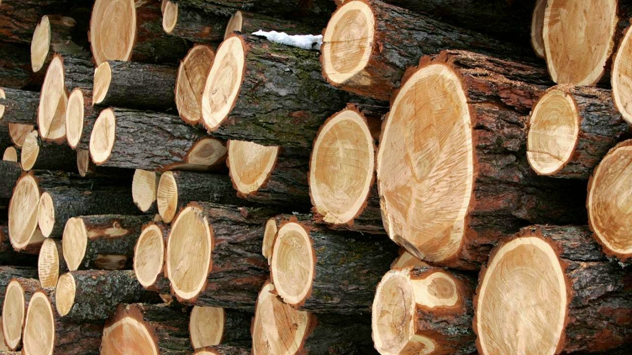 Processo. GR: otto mesi di detenzione per l'ex forestale di S-chanf