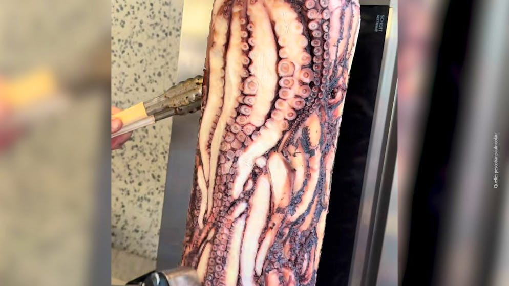 Oktopus-Variante geht viral. Tentakelige Angelegenheit – würdest du in diesen Döner reinbeissen?