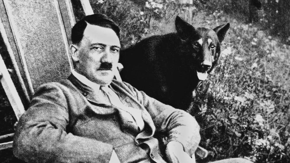 Kontroverse DNA-Sensation. Hitlers Erbgut im Check – Massenmord wegen Gen-Defekt?