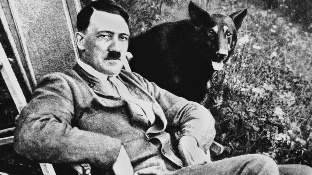 Adolf Hitler posiert mit seinem Wolfshund: Der Diktator soll an einem seltenen Gen-Defekt gelitten haben.