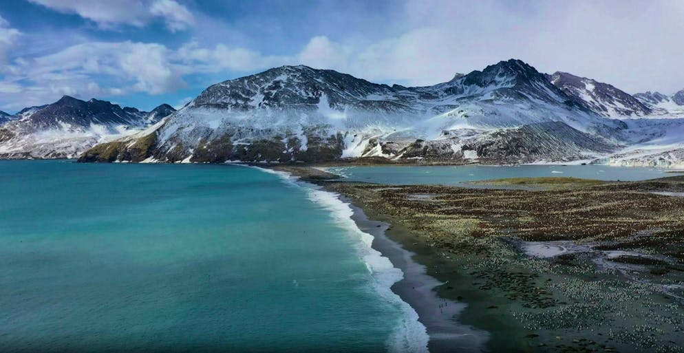 Elephant seals in the South Atlantic die from bird flu - Gallery. The largest wave of bird flu ever documented has been raging since 2022.