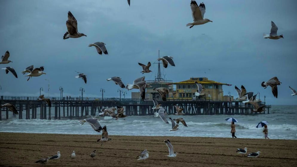 Möwen fliegen neben dem Santa Monica Pier nach heftigen Regenfällen in Santa Monica, Kalifornien. Foto: Ethan Swope/AP/dpa