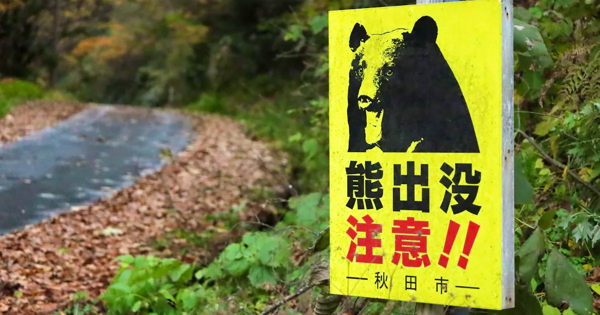 Japan bläst zur Bärenjagd