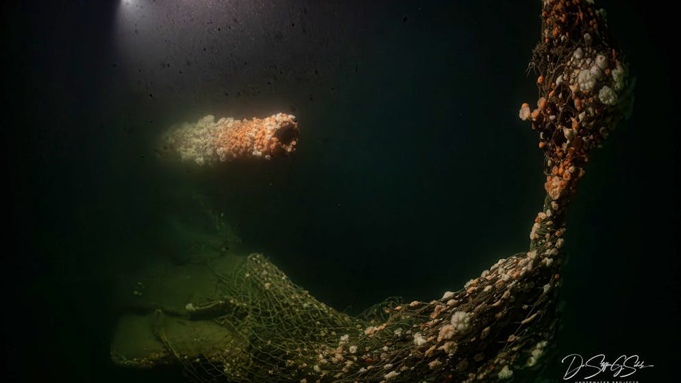 Von deutschem U-Boot versenkt. Forscher tauchen zu historischem Wrack aus dem 1. Weltkrieg