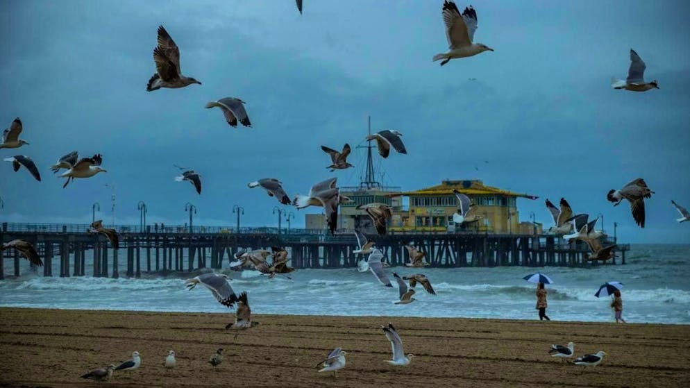 Seagulls fly next to the Santa Monica Pier after heavy rains in Santa Monica, California. Photo: Ethan Swope/AP/dpa