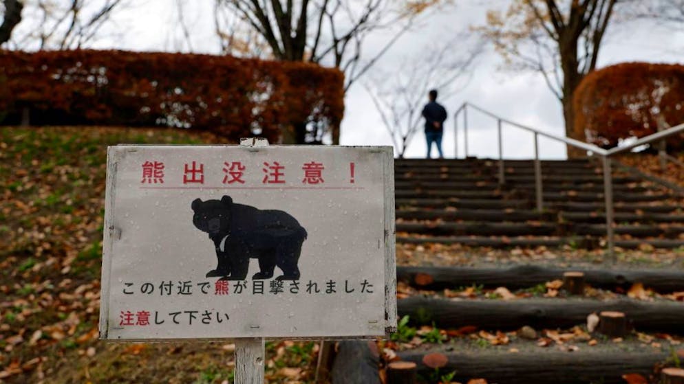 Senza precedenti. Un orso si aggira tra gli scaffali, è panico in un centro commerciale in Giappone