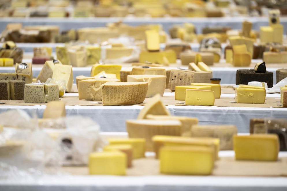 Fromages de différents pays photographiés lors de la 37e édition des World Cheese Awards, à la Festhalle de Berne, en Suisse, le 13 novembre 2025. Plus de 5 244 fromages provenant de 46 pays sont en compétition cette année. La Suisse joue un rôle central en tant que pays hôte, avec 948 fromages en compétition. Des tonnes de fromage ont été jetées à la poubelle après la tenue de l'événement. (KEYSTONE/Anthony Anex)