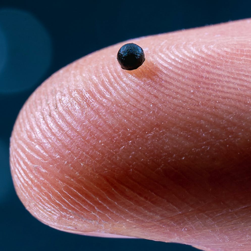 Gezielter Medikamente-Transport. Revolutioniert dieser ETH-Roboter die Behandlung von Schlaganfällen?