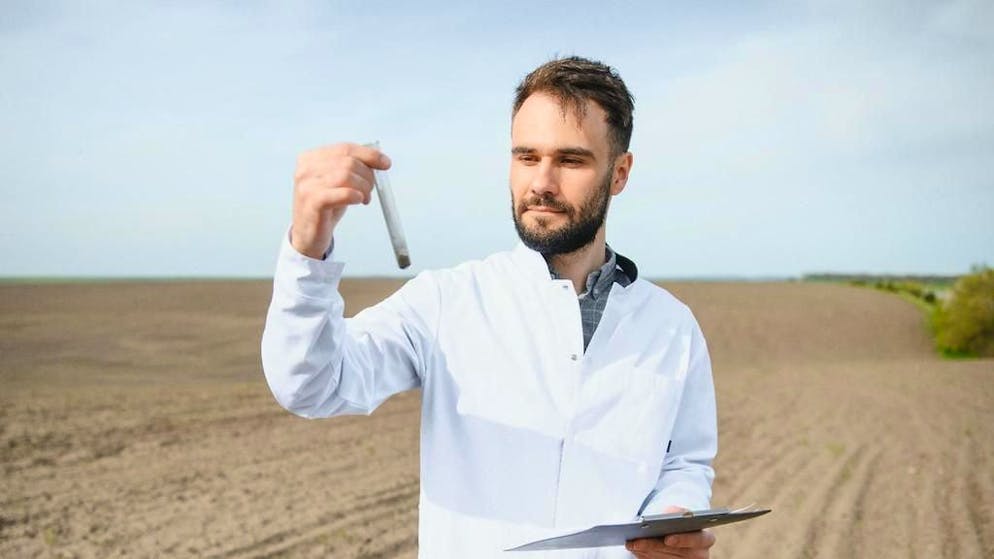 Salute. I pesticidi nella frutta compromettono la fertilità maschile