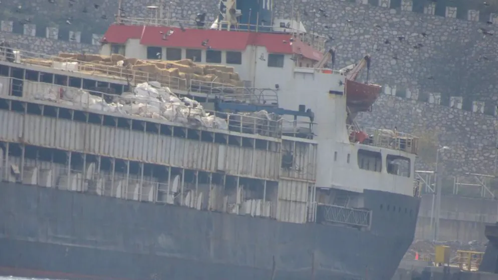 Drama at sea continues. Cattle freighter with 3000 cattle on board can no longer be located