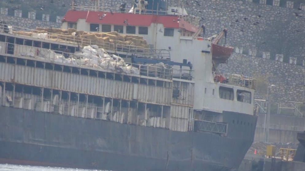 Dozens of animals already dead. Ship with almost 4000 cattle on board has been drifting at sea for weeks