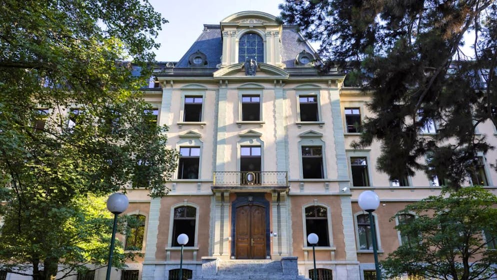 les deux accusés pourraient être condamnés à des jours-amende.