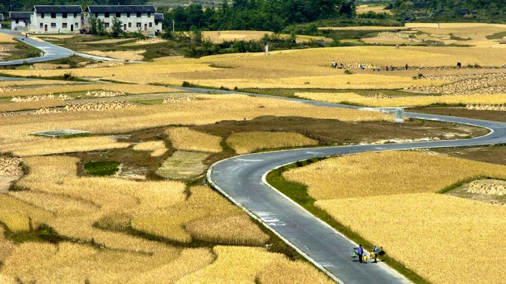 Unter anderem geänderte Anbaumethoden für Reis könnten laut dem Uno-Bericht Methan-Emissionen einsparen. (Archivbild)