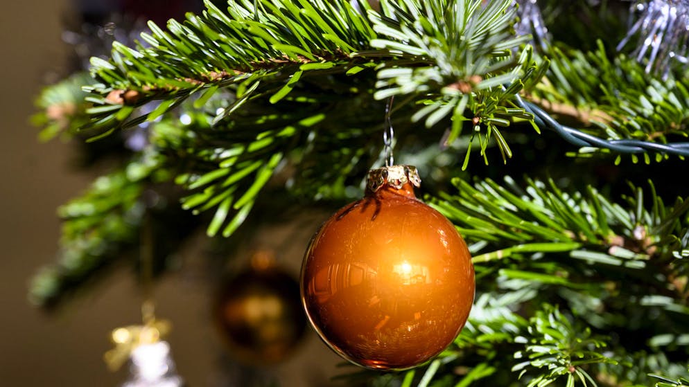 Actu et dicton du jour. Sapins de Noël: quelle est l'alternative la moins polluante?