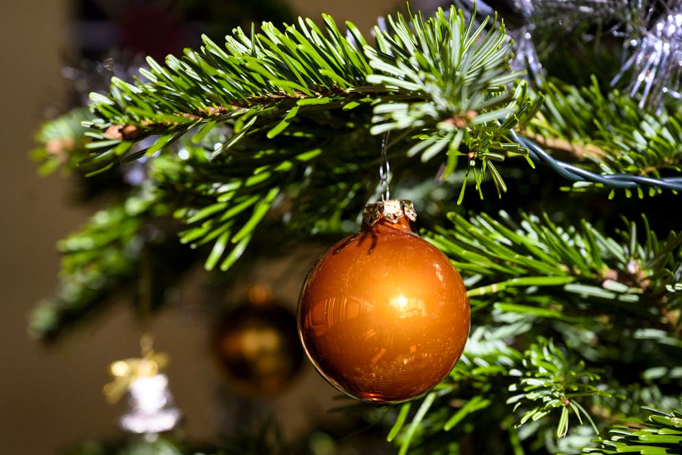 En Suisse, 1,7 million de sapins de Noël sont vendus chaque année.