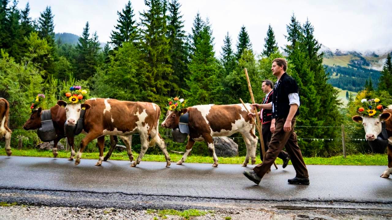 Öffentlicher Dienst. Schweizer Landwirtschaft hat 2025 ein sehr gutes Jahr
