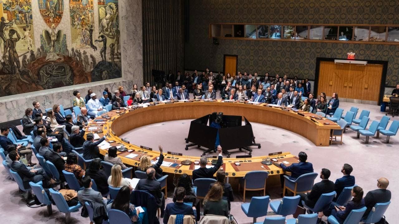 International. Hope grows in Gaza after UN Security Council vote