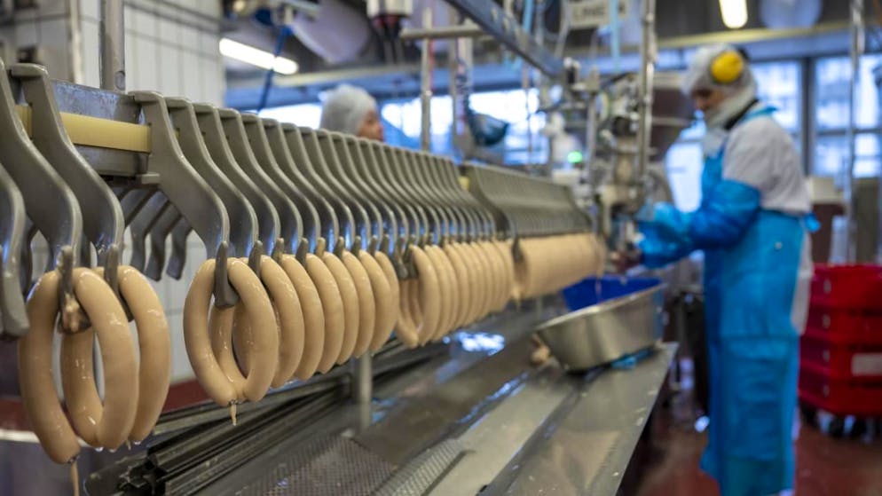 Bell produce un'enorme quantità di carne.