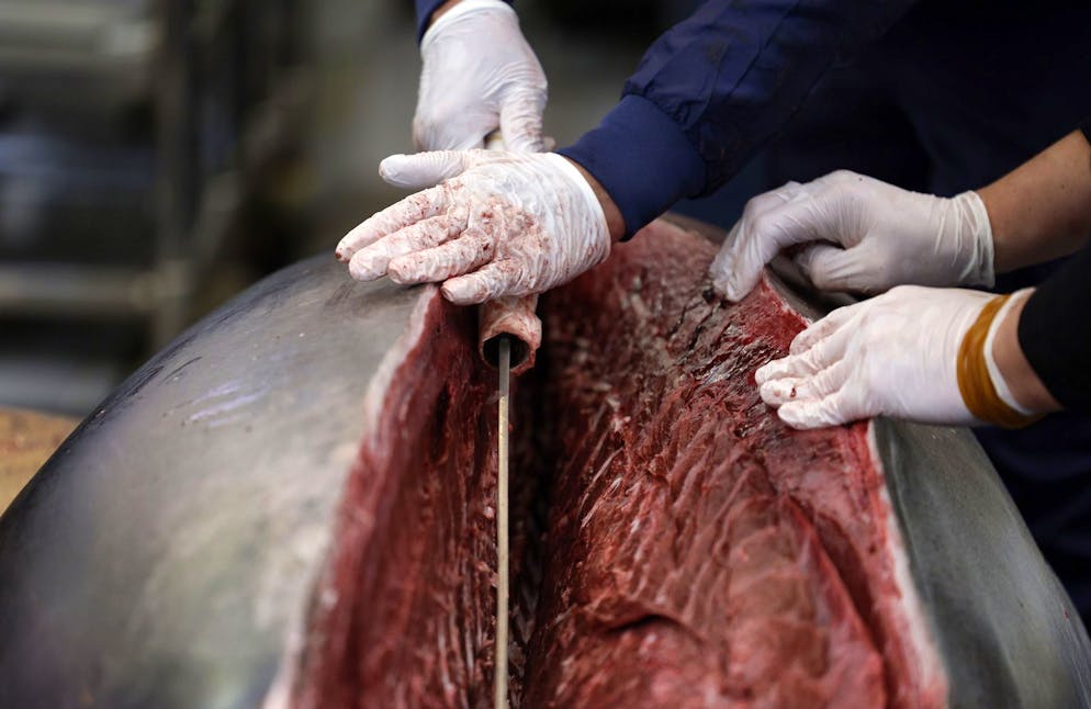 La Chine va suspendre ses importations de produits de la mer japonais, ont rapporté mercredi des médias nippons. (image d'illustration)