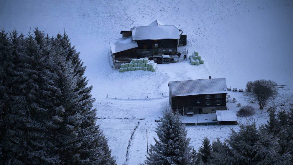 Wetter-Ticker. Frau Holle bringt Schnee bis ins Flachland