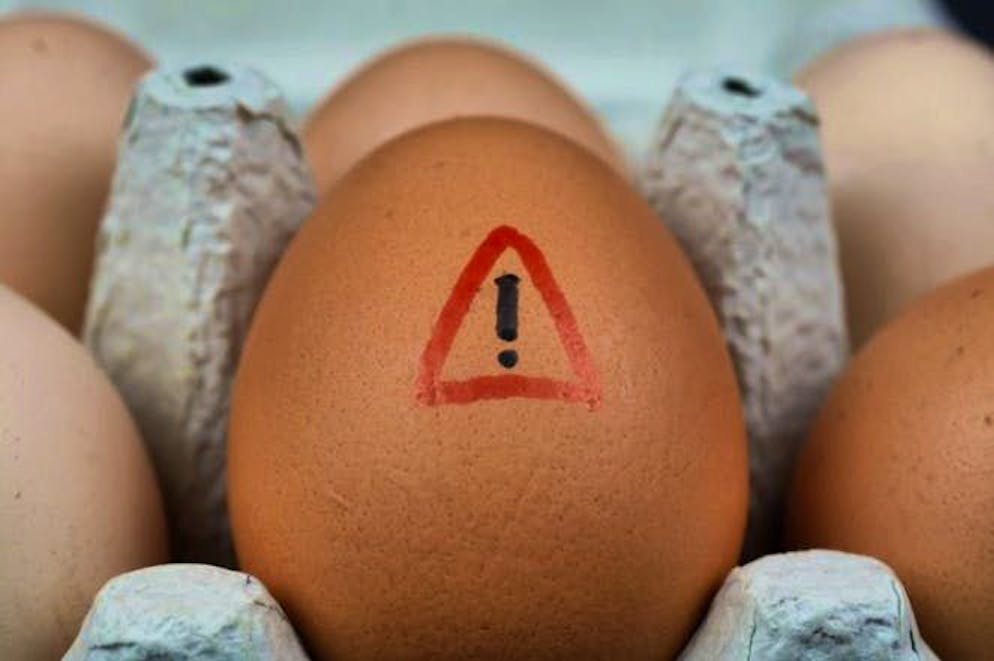 Nutrition myths in check. For a long time, eggs were considered a no-go for people with high cholesterol. Today it is clear that the influence of eggs on cholesterol levels is much smaller than previously assumed. They are neither the main cause of high levels nor should they be avoided as a matter of principle. The entire diet remains the decisive factor - not the morning egg.