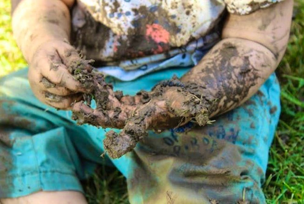 Nutrition myths in check. Small children eat sand and dirt - it is almost impossible to avoid this completely. So the saying quickly arises: "Dirt makes bacon." The message behind it: A little dirt is supposed to strengthen the immune system. But it's not quite that simple. Excessive hygiene can indeed be harmful, but one thing remains clear: cleanliness is important - and dirt is not a health booster.