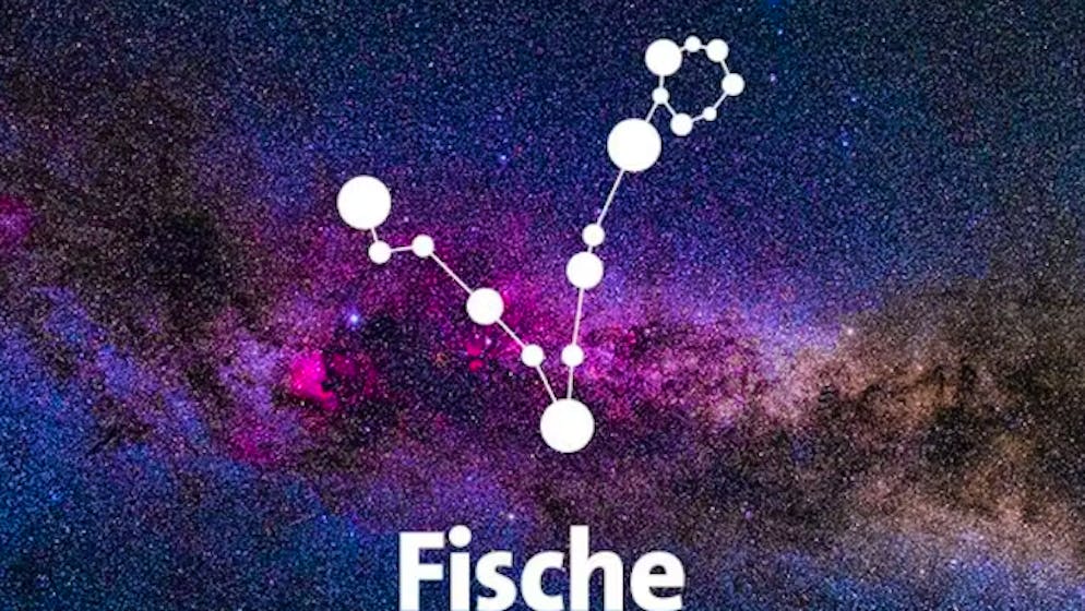 Jahreshoroskop 2026. Monica Kissling: «Für Fische wird eine Vision greifbar»