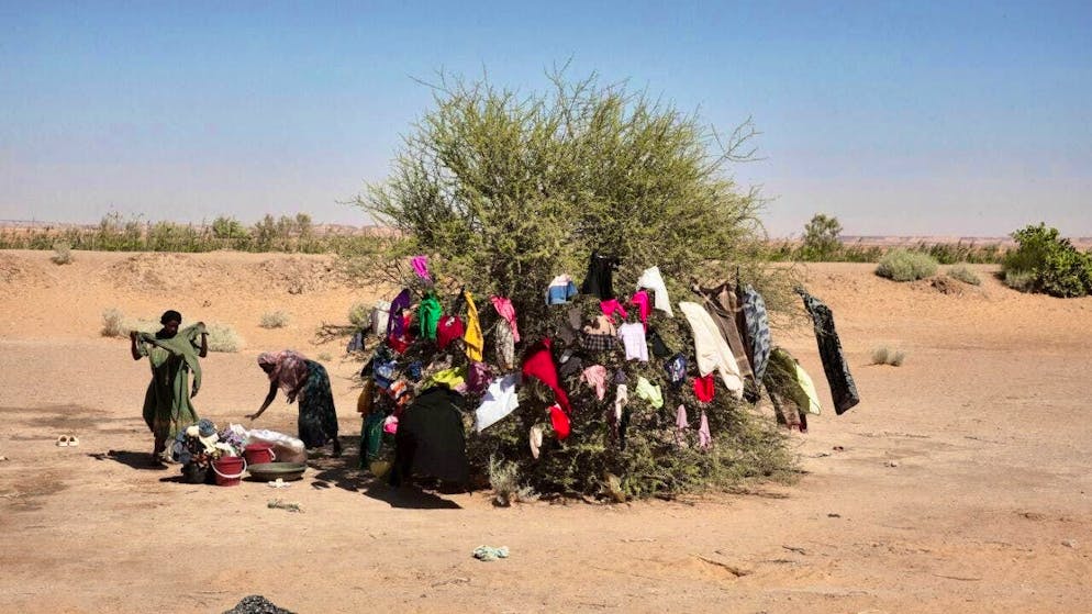 The world's biggest humanitarian disaster has come to a head: refugees from rebel-held Al-Fashir in Sudan.