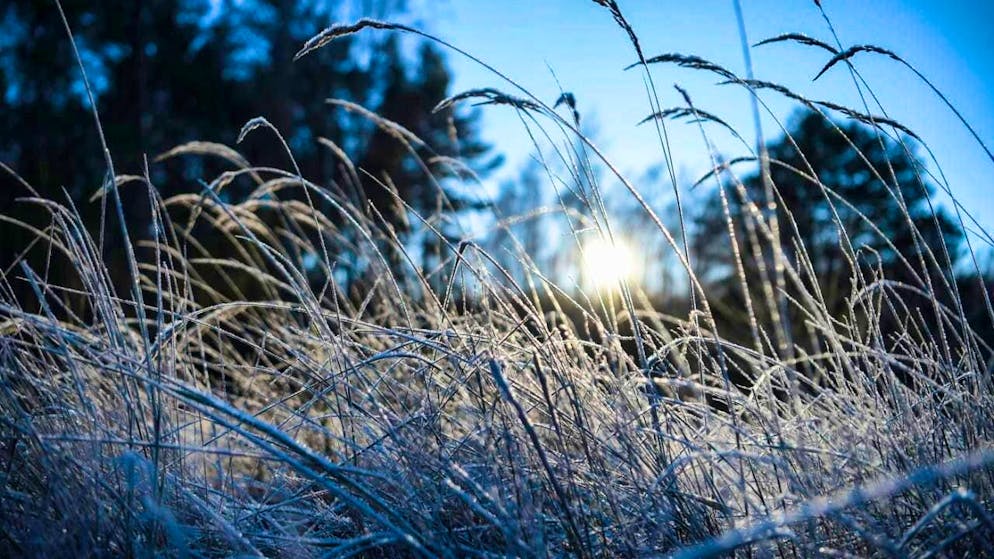 Weather services expect maximum temperatures of zero degrees in the lowlands in the coming days. (archive picture)